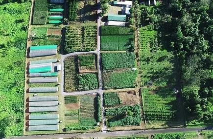 中国—萨摩亚示范农场俯瞰图