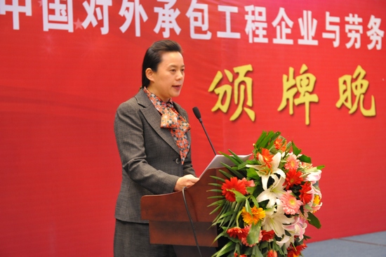 2012年度中国对外承包工程、对外劳务合作AA